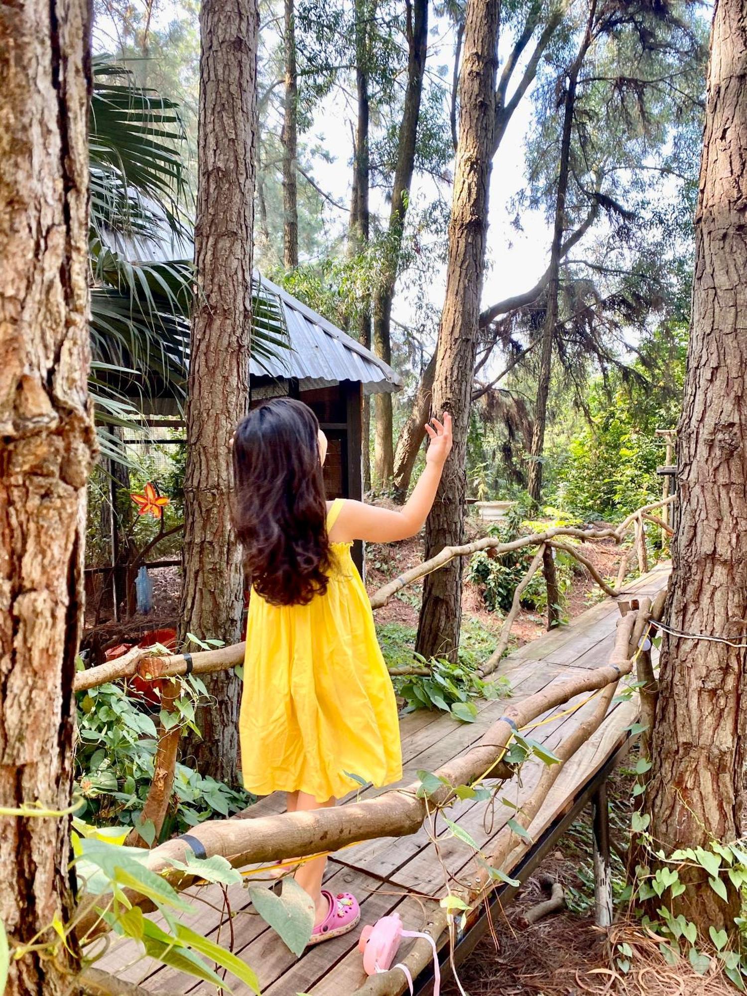 Pine Hill & Resort