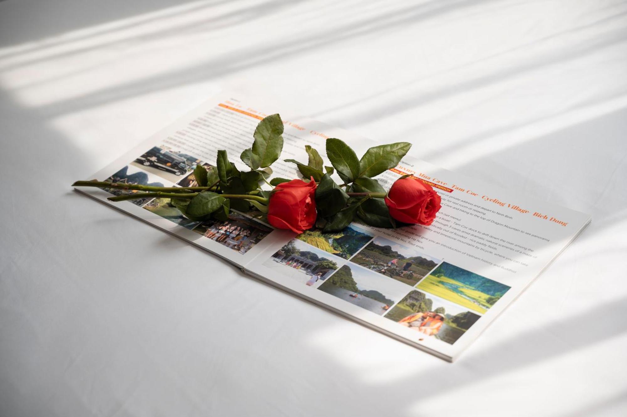 Minasi Premium Hotel