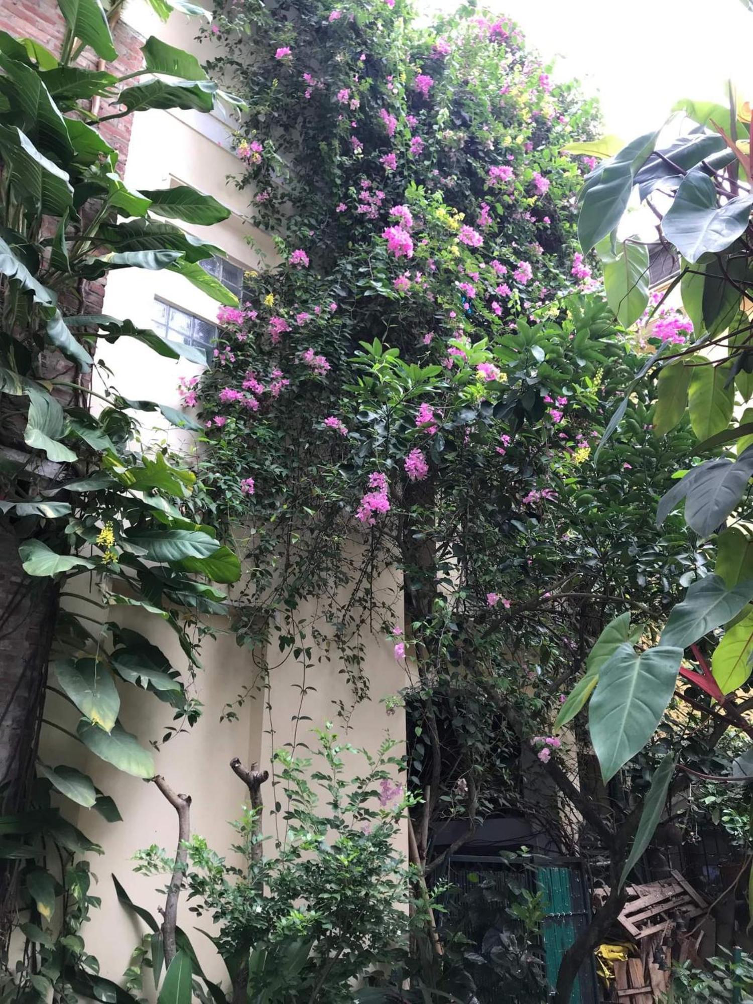 Khách sạn hẻo lánh Price Ho Tay With Garden & Pool For Long Hà Nội