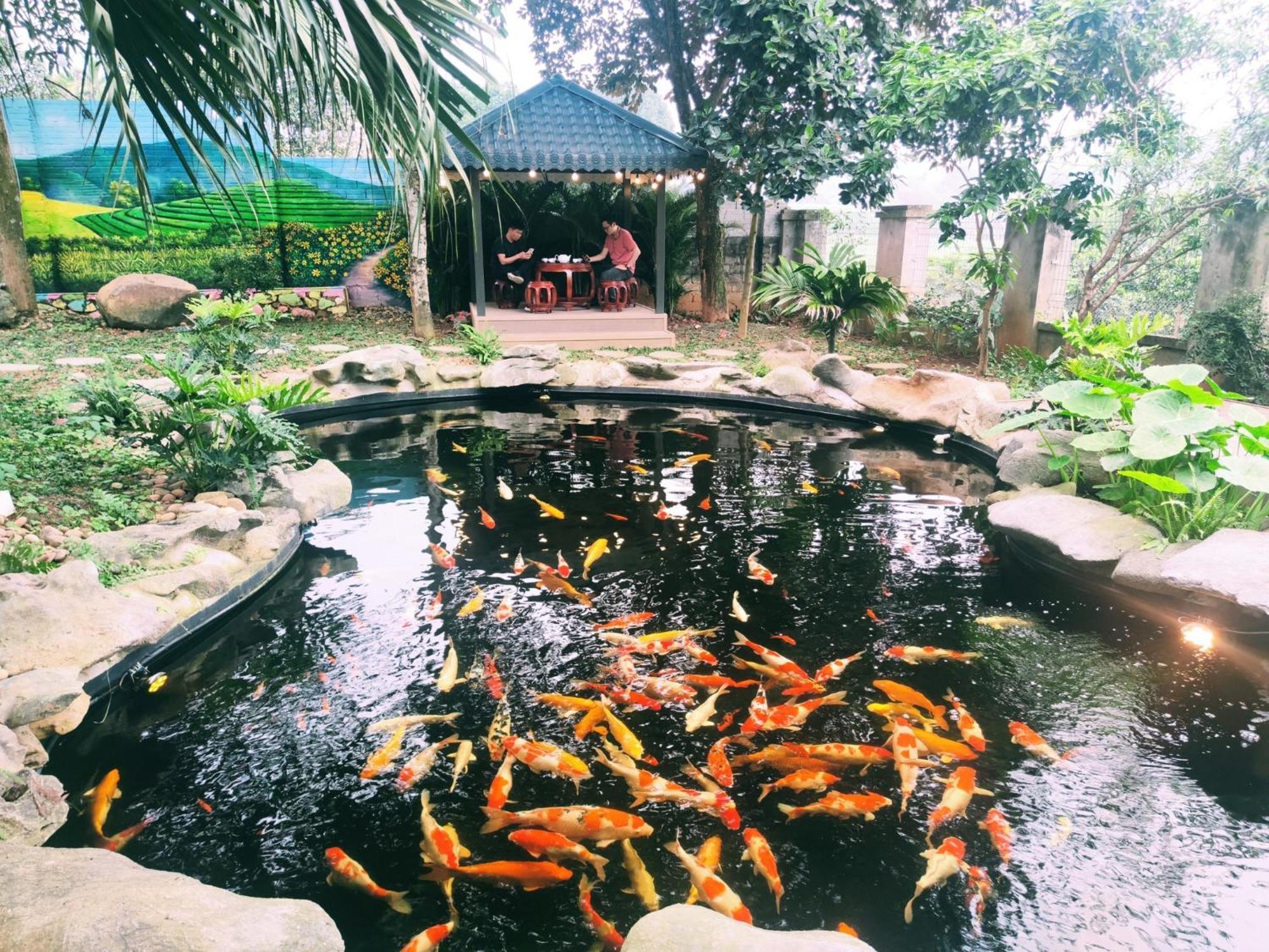 Ha Thanh Hanoi