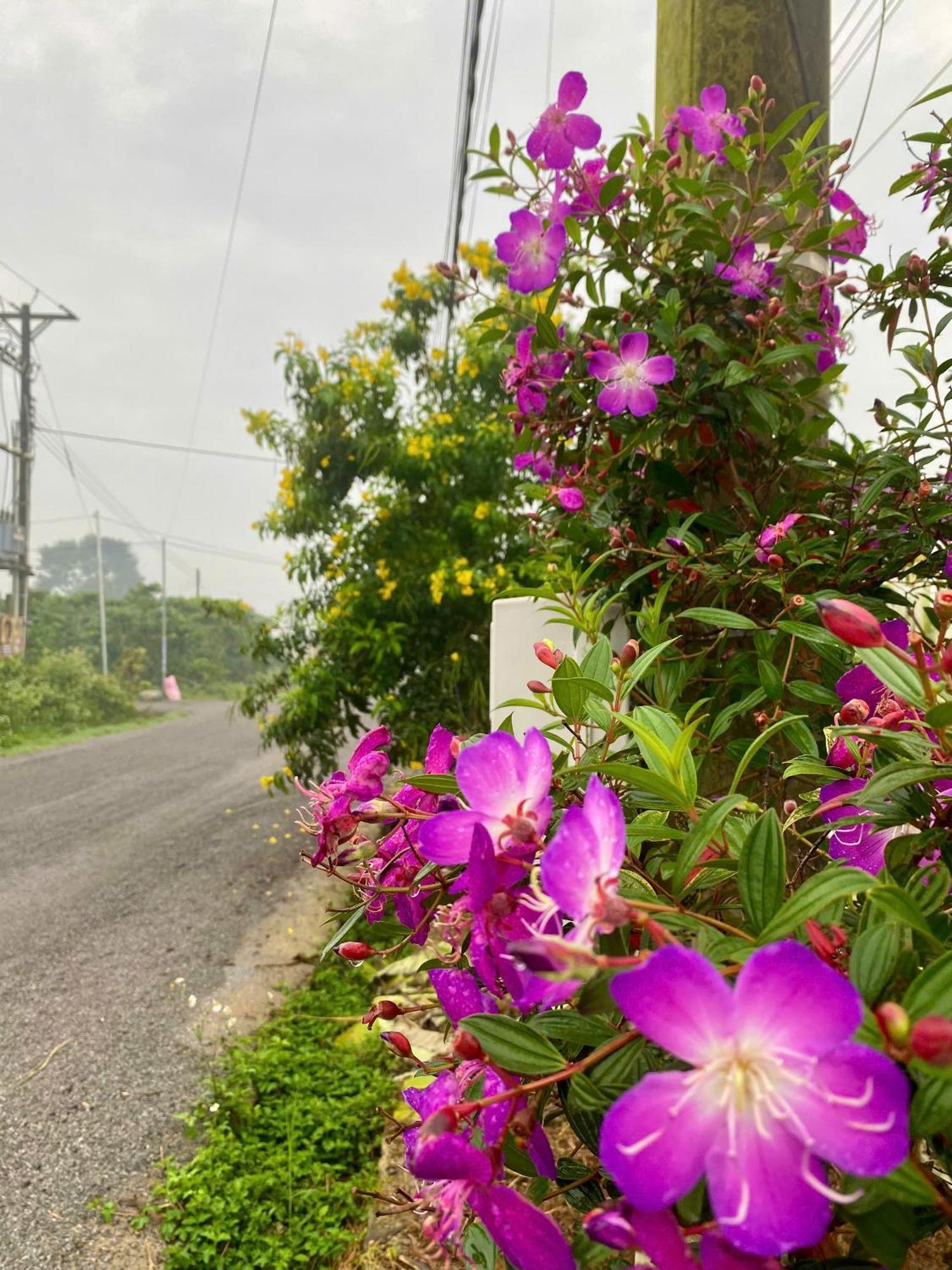 Nam Ngu Paradise - Hoan Kiem
