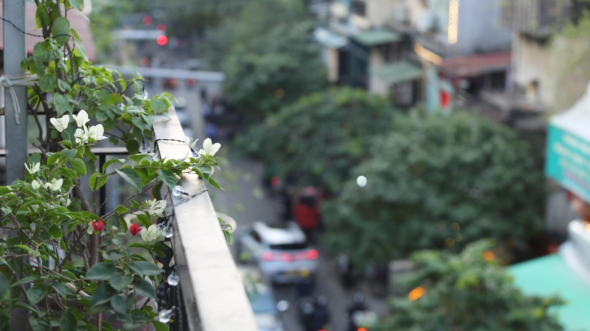 Homestay Vietnam Travelers 1 With Private Balcony *