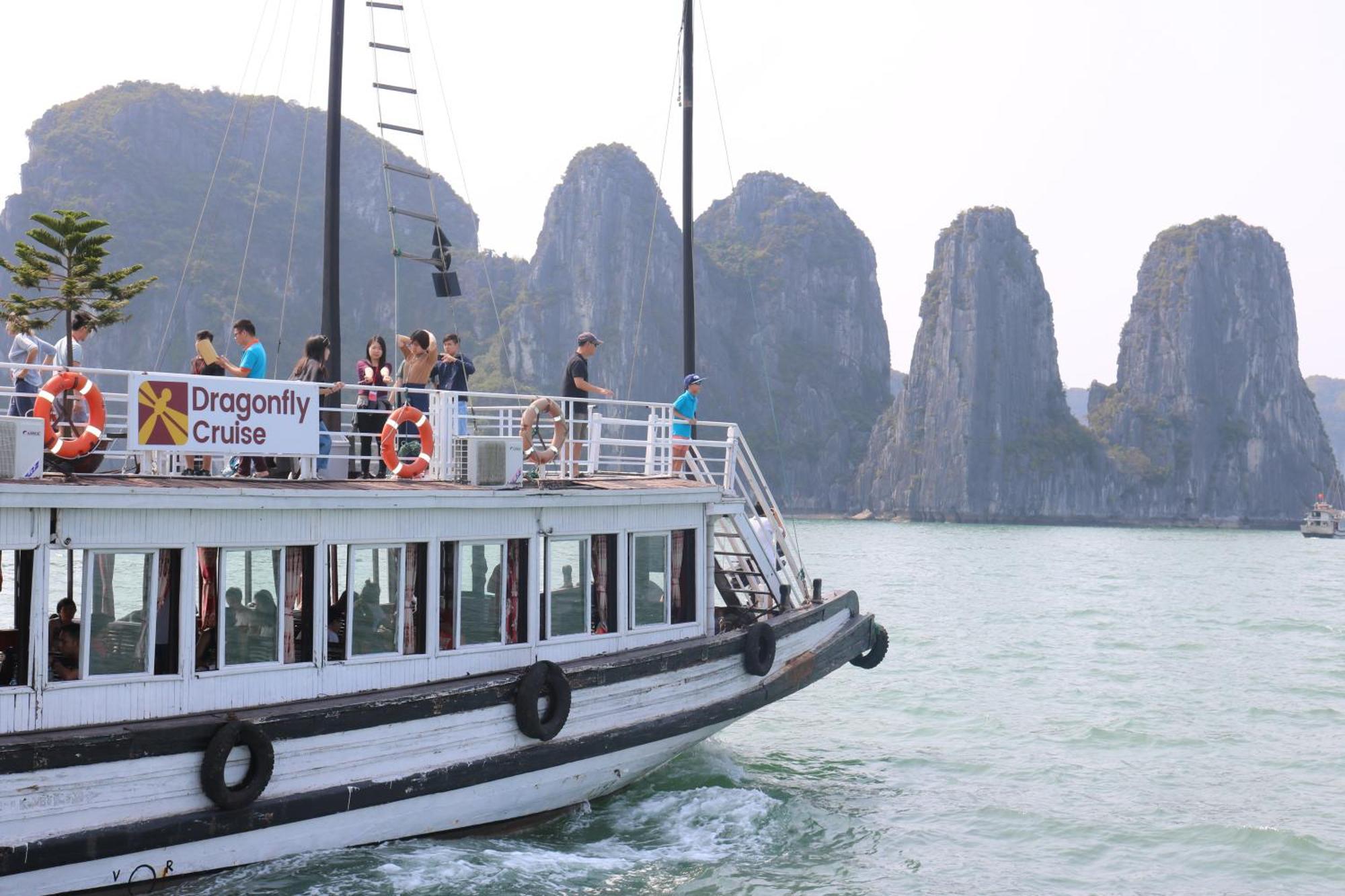 Dragonfly Cruise