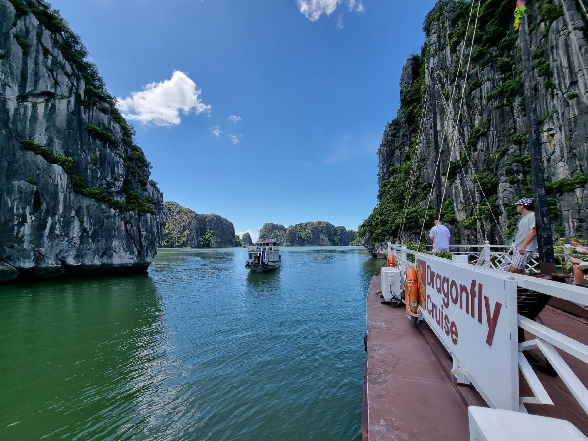 Dragonfly Cruise