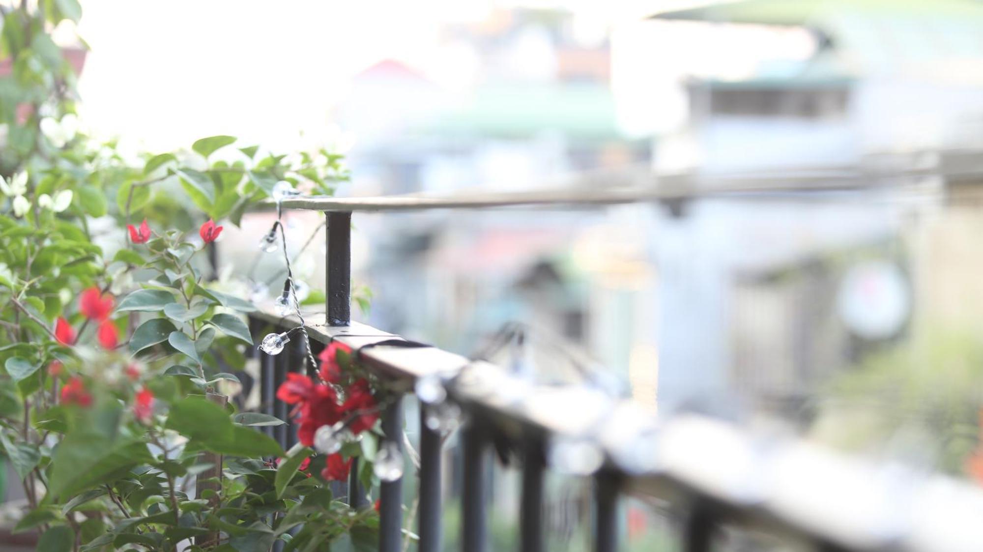 Vietnam Travelers 1 With Private Balcony *