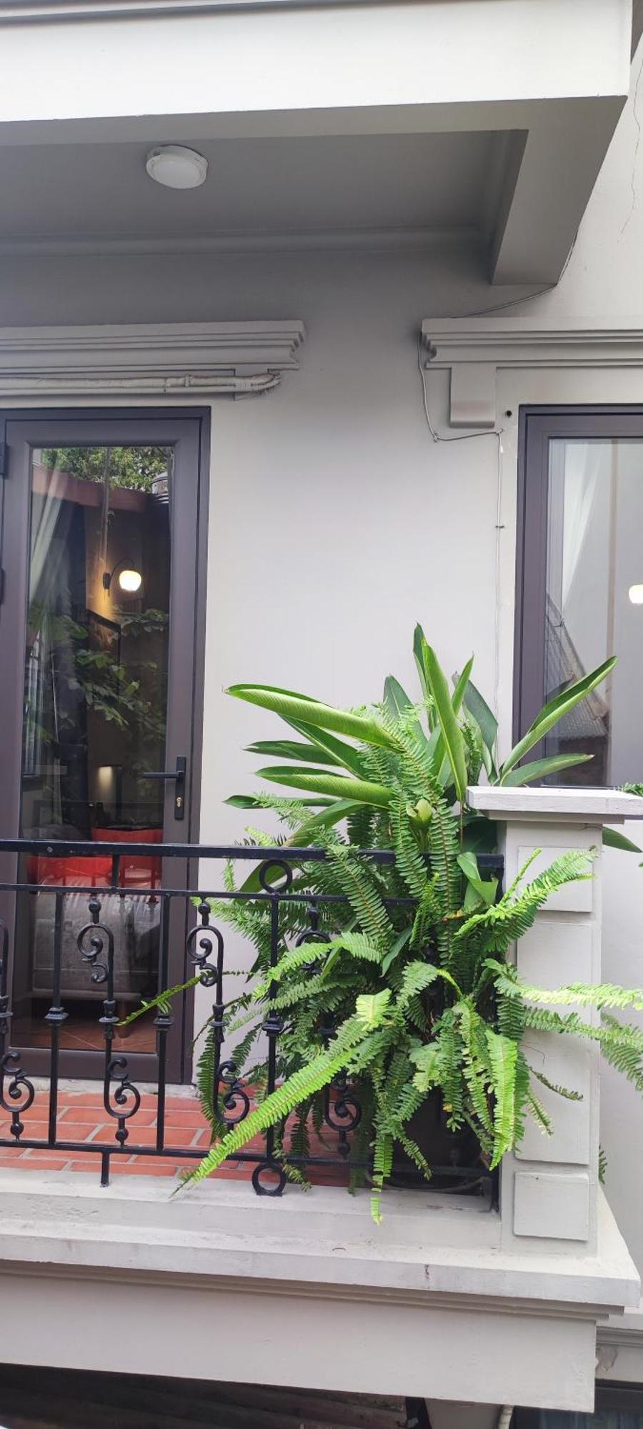 Homestay T Balcony