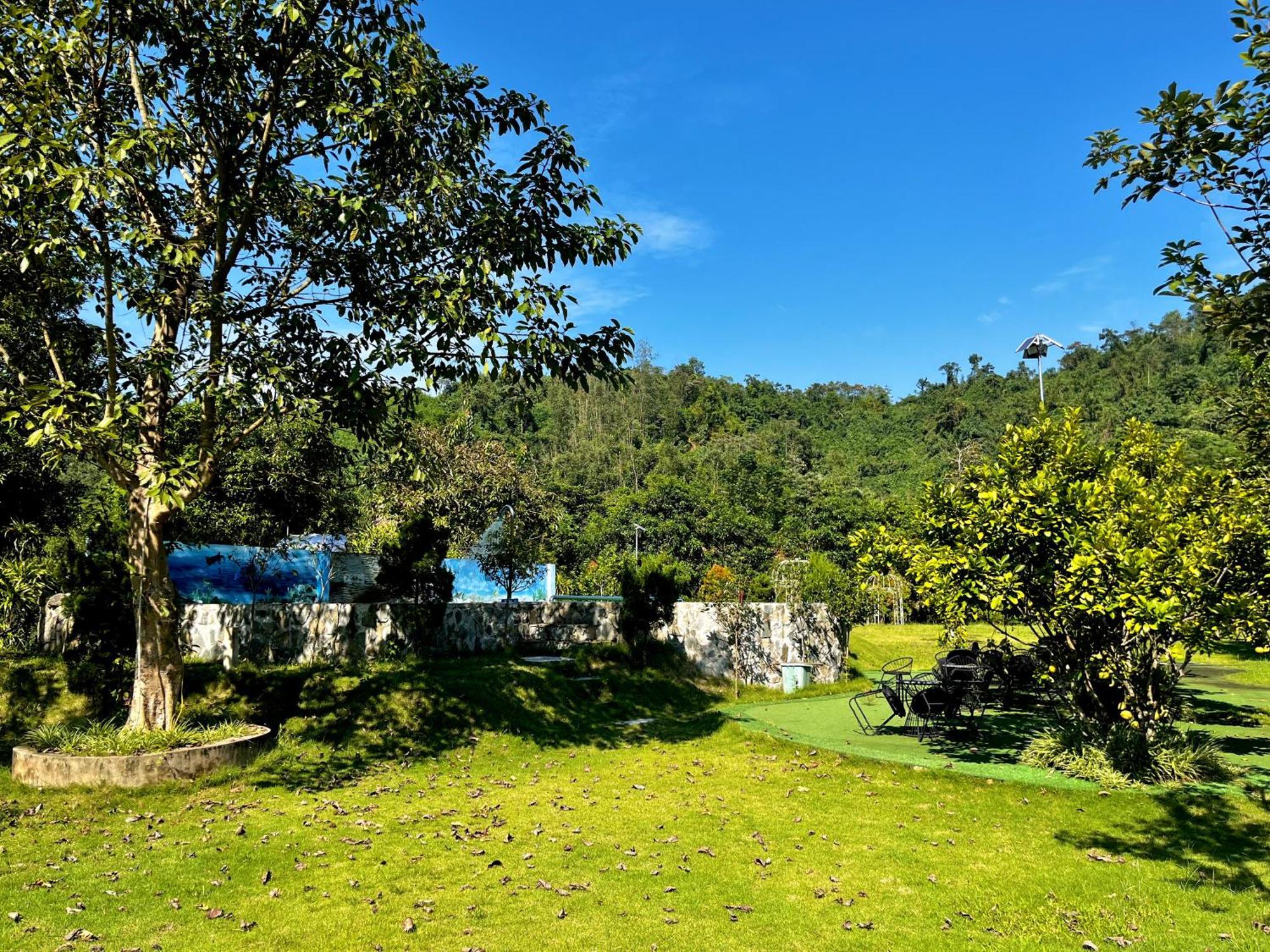 Farm stay Sapphire Hill *