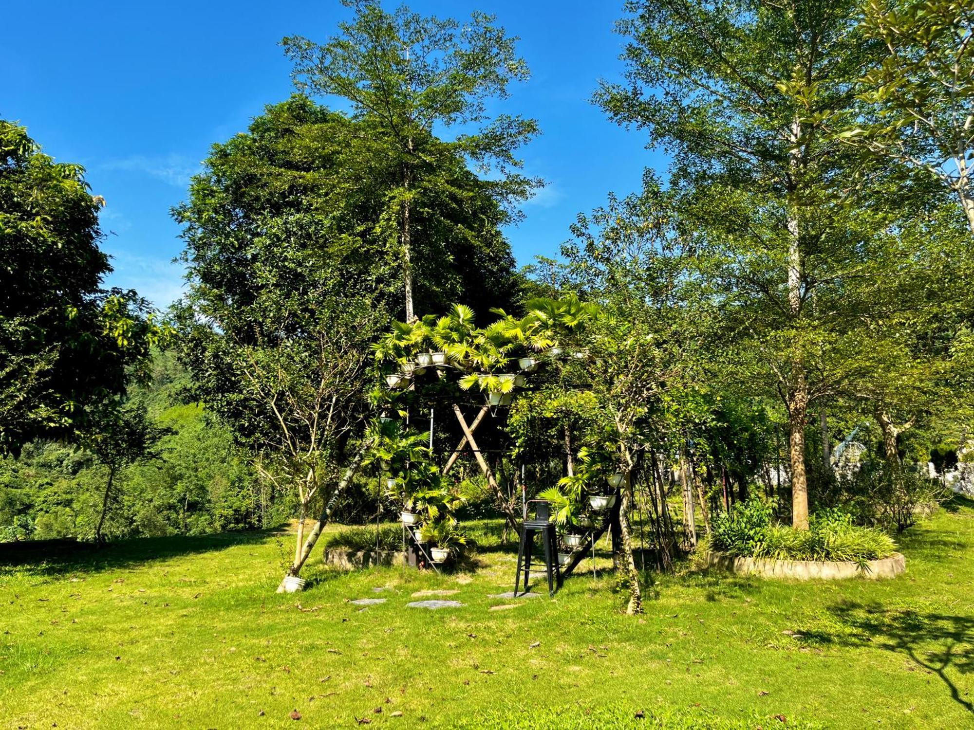Farm stay Sapphire Hill *