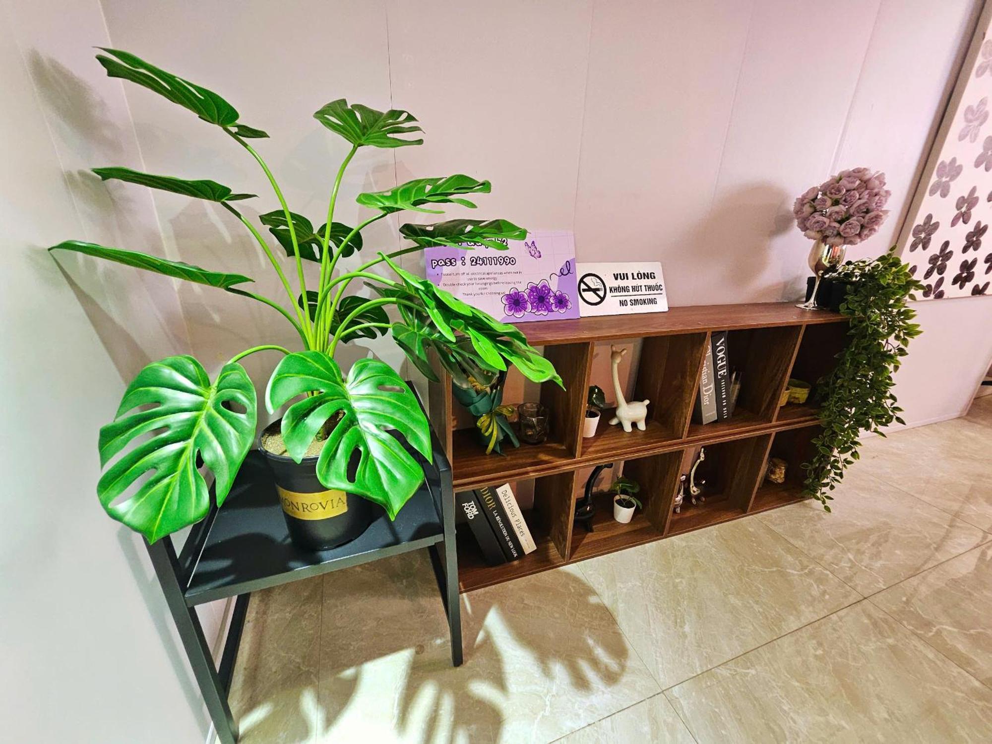 Apartment Olive House