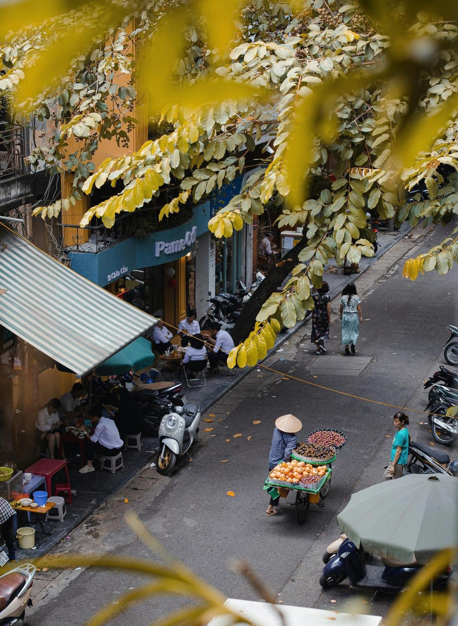 Sushi House Quoc Tu Giam 202 * Hanoi