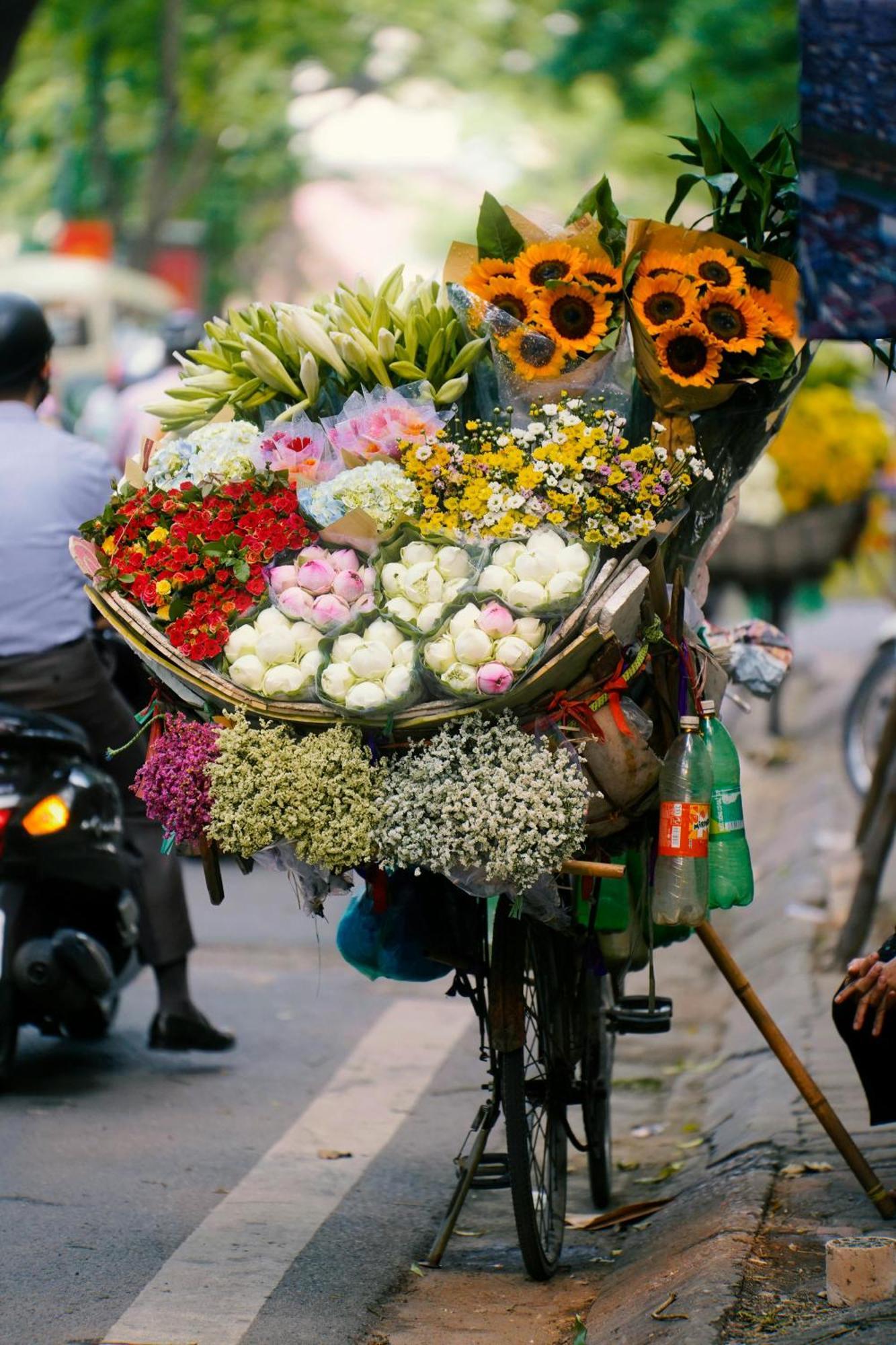 Sushi House Mieu 402 Homestay Hanoi