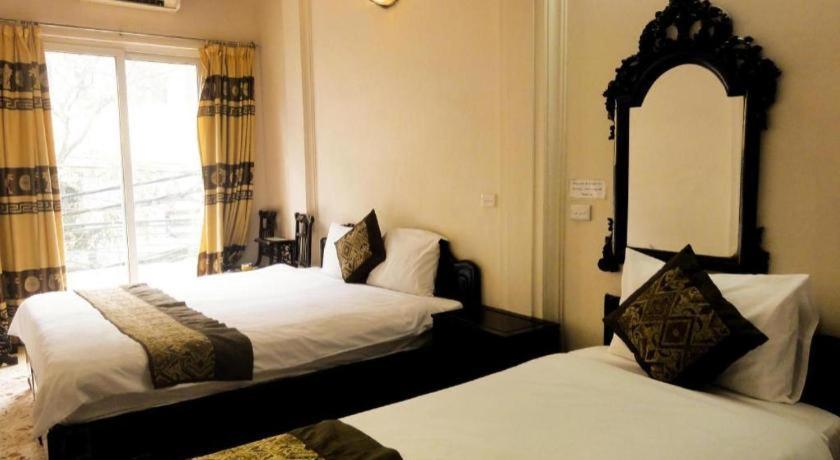 Hostel Kangaroo