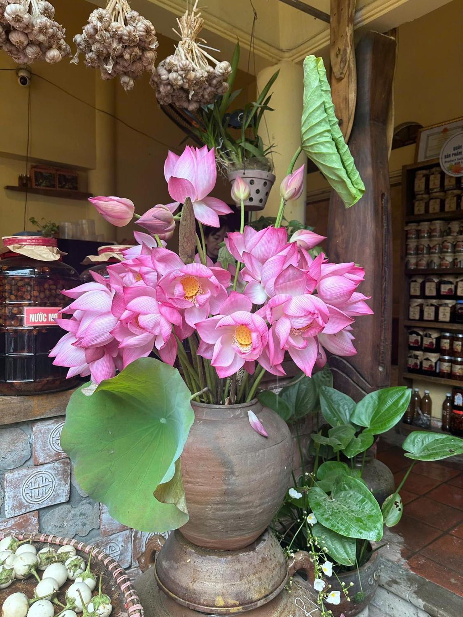 Doai Duong Lam Bed & Breakfast