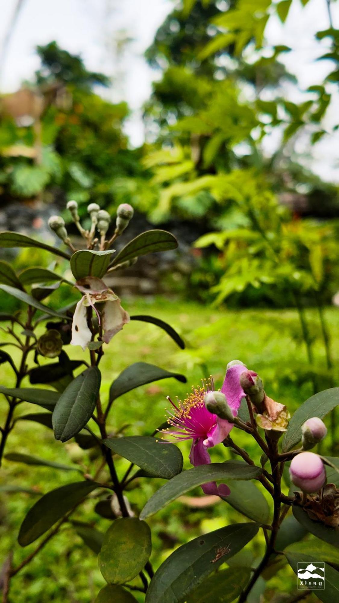 Xieng Retreat Homestay