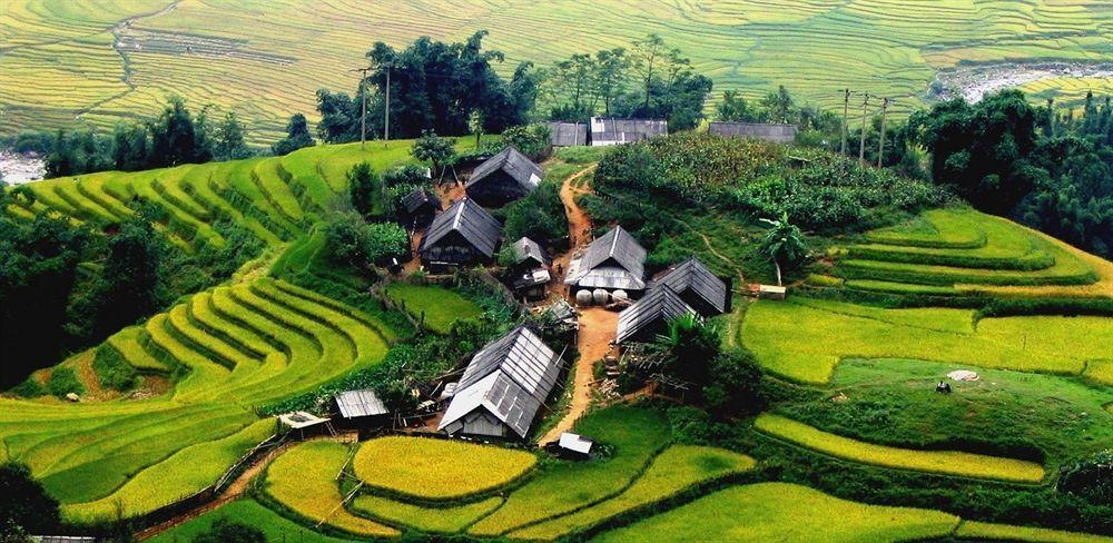 Hotel Golden Moon & Travel 3*