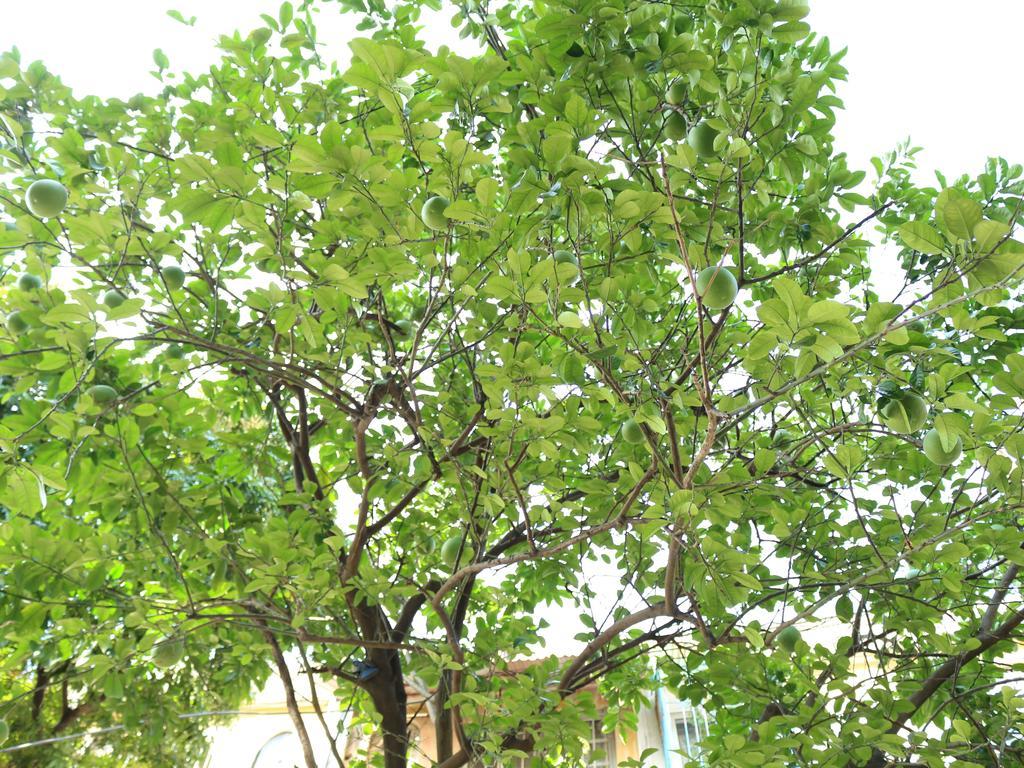 Hotel Palmo & 1 Hanoi