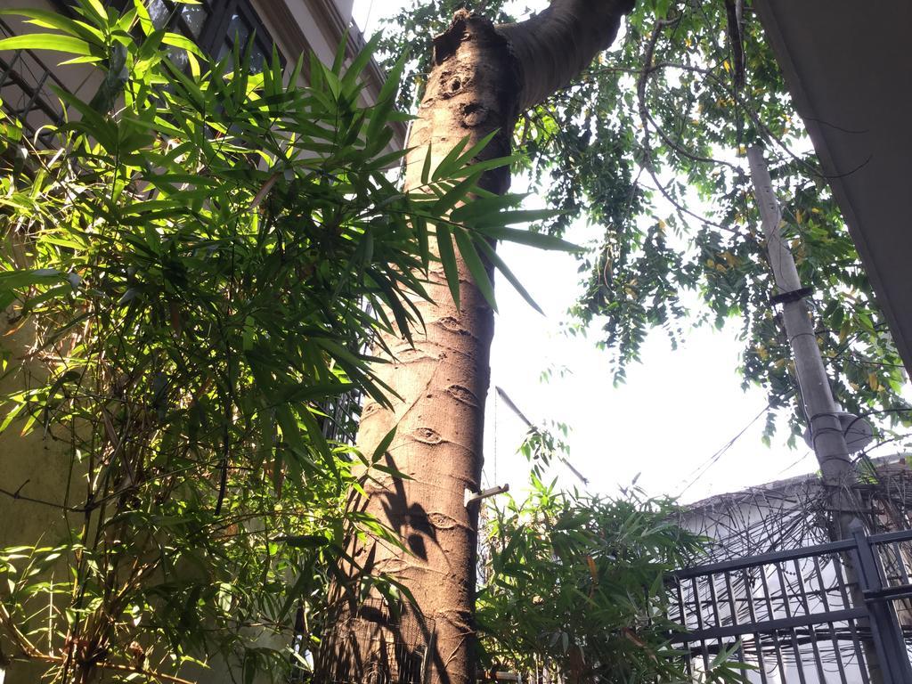 Khách Sạn&căn Hộ Palmo 2 Hà Nội