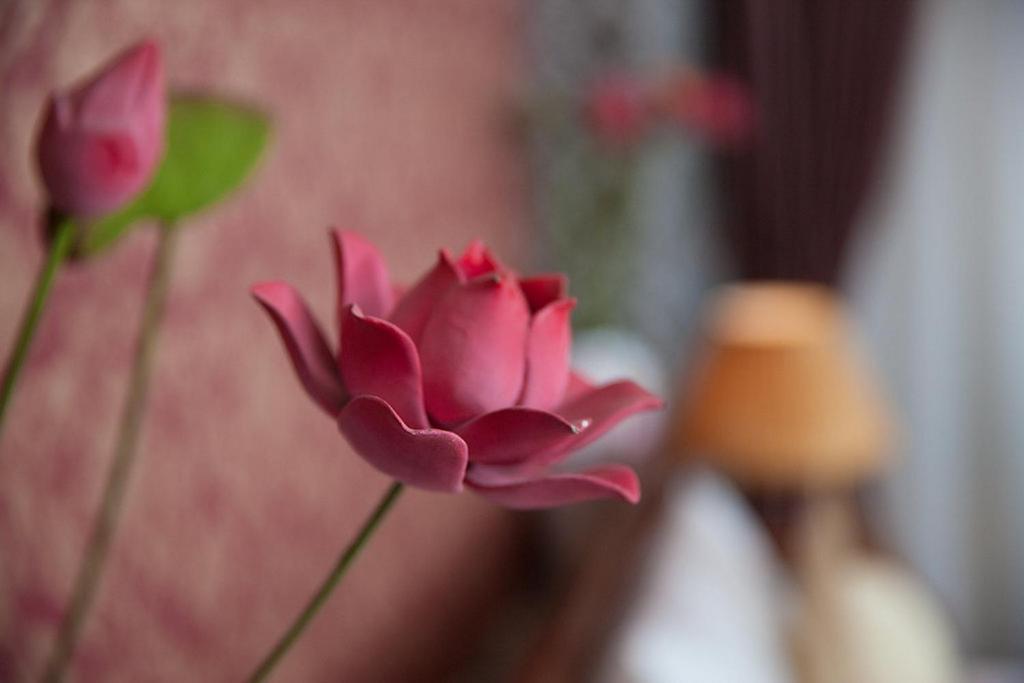 First Eden - Hang Bun Hotel Hanoi