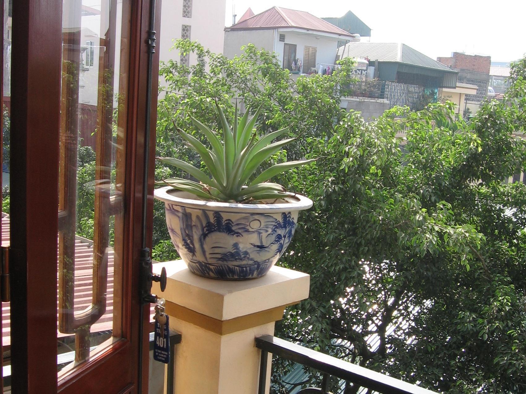 Tung Trang Hotel Hanoi