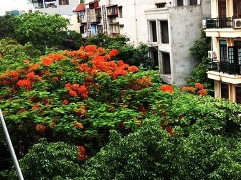 Binh Anh Hotel Hanoi