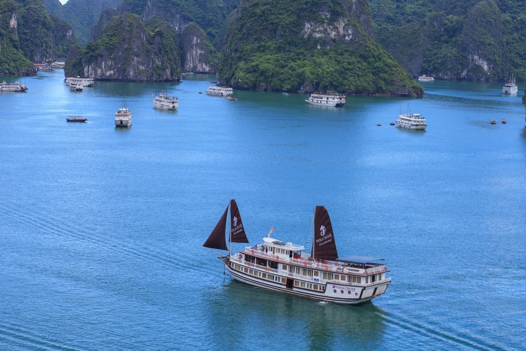 Và Dưỡng Viola Royal 3*