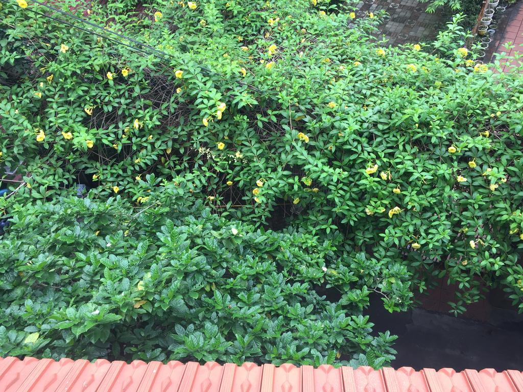 Guest house An Hanoi