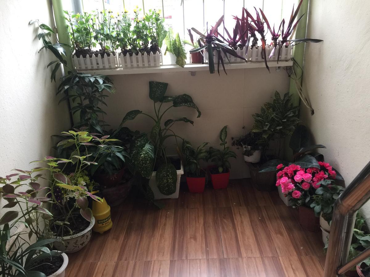 Cozy Hanoi
