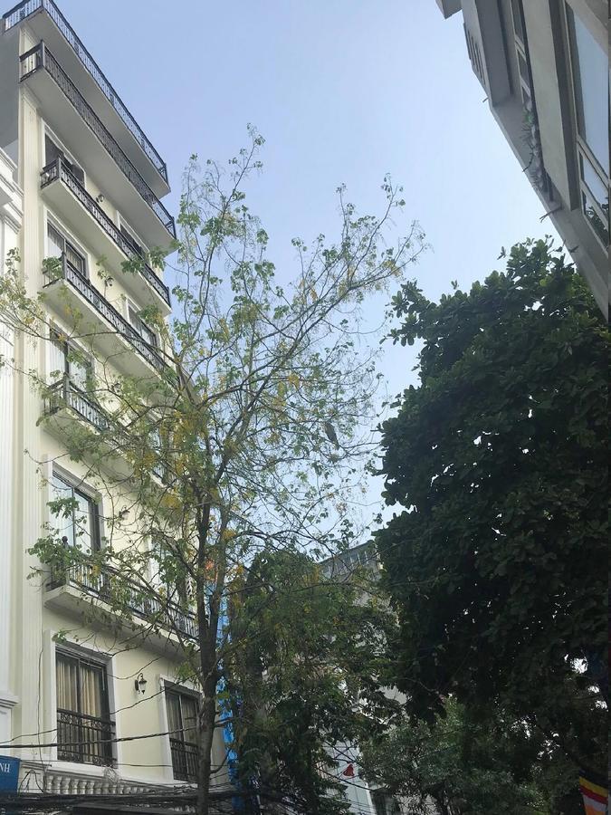 Bigwin Hotel Hanoi
