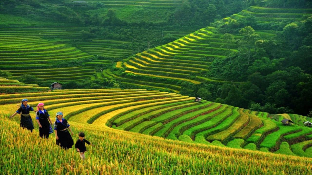 House & Travel 3* Hanoi