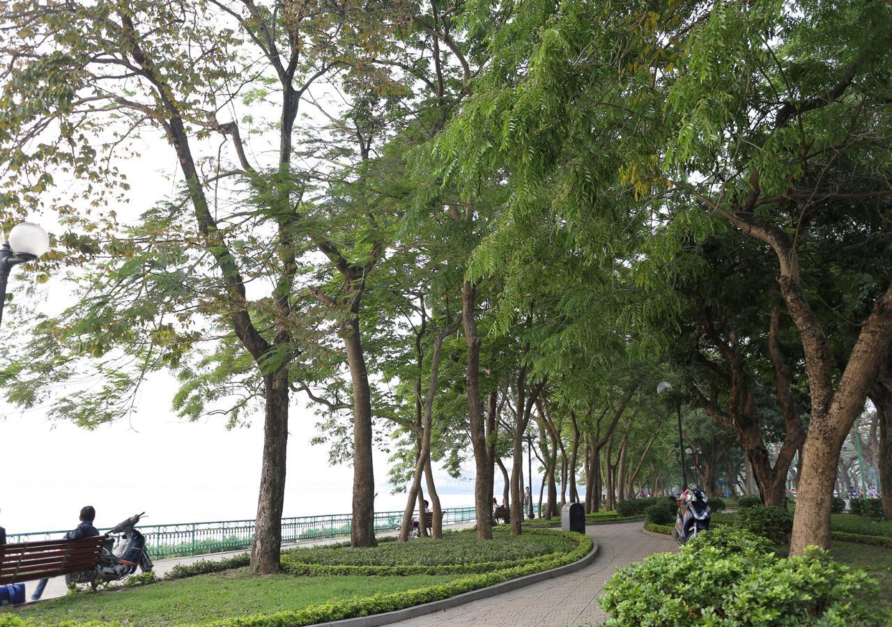 Arl Trúc Bạch No.1 *