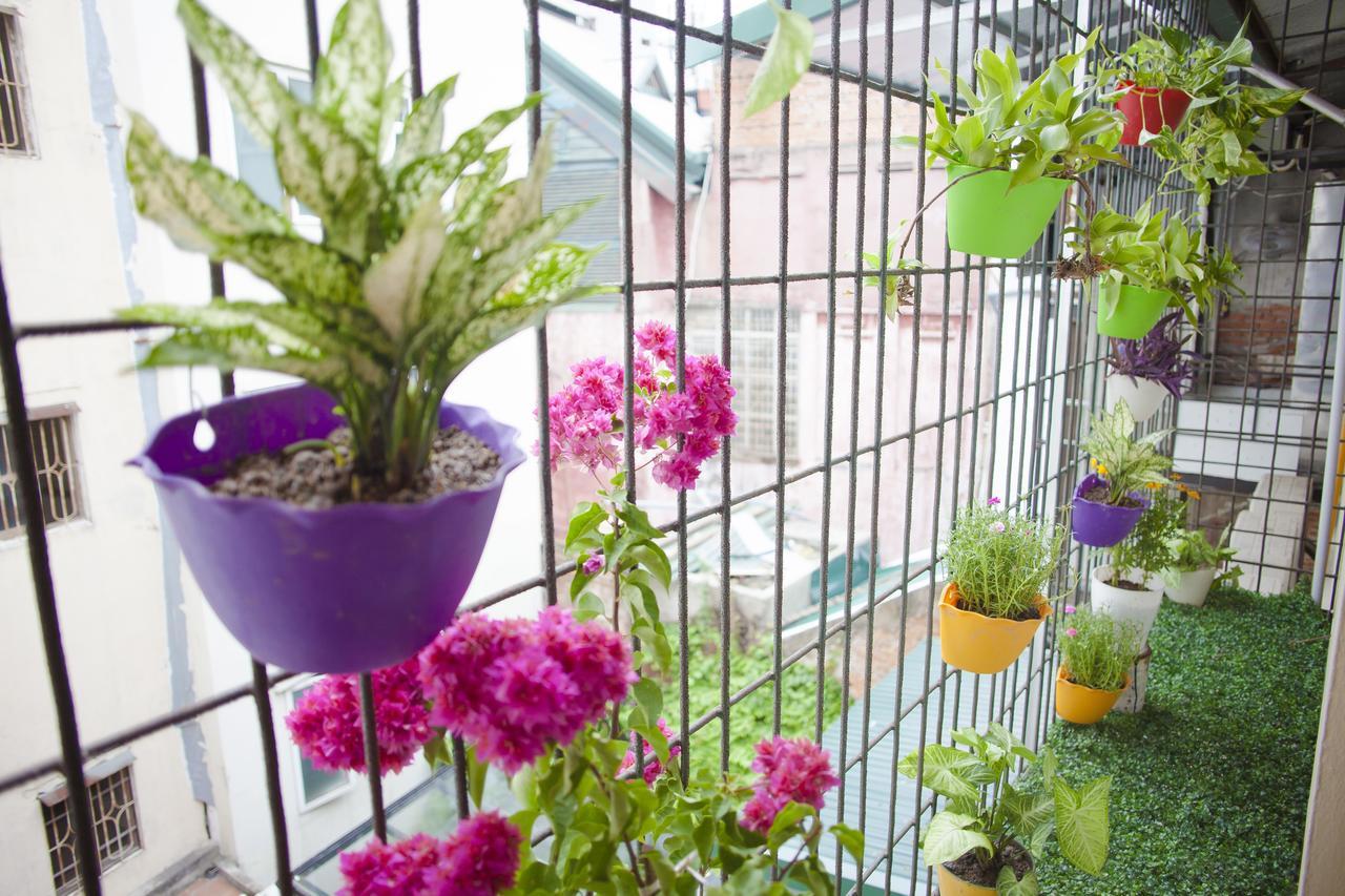 Guest house Nq Vintage House 2*