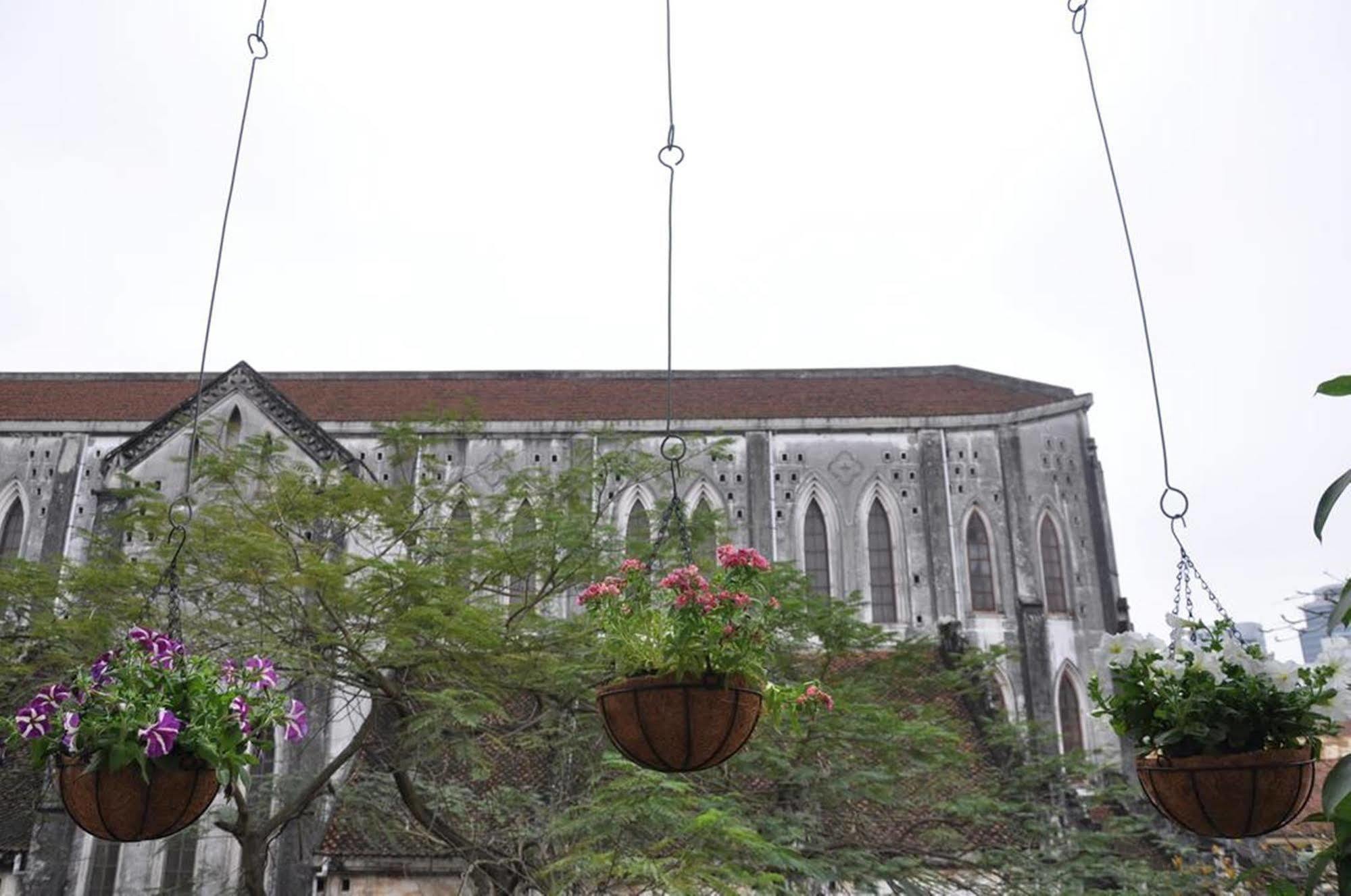 Cinnamon Cathedral 2*