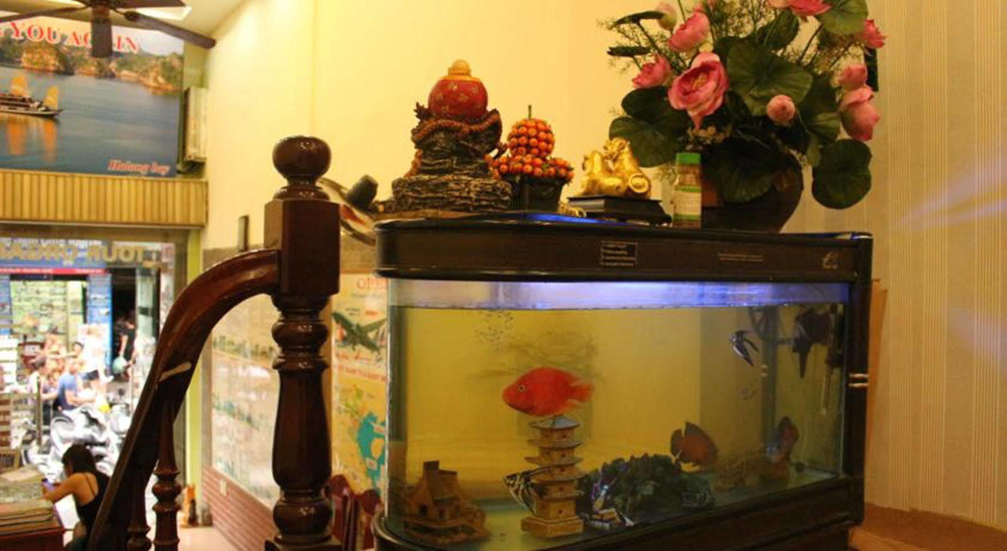 Hovi Ma 2* Hà Nội