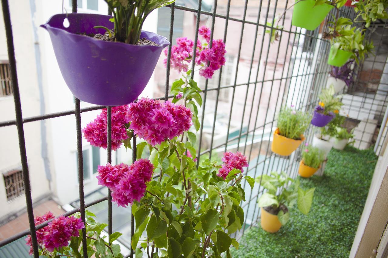 Nq Vintage House Guest house 2*
