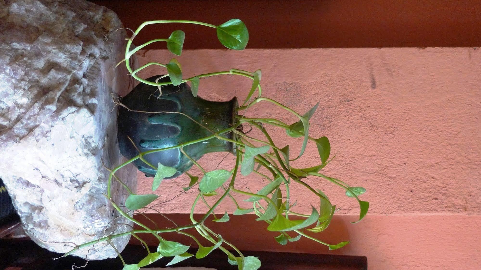 Garden Queen Hotel Hanoi