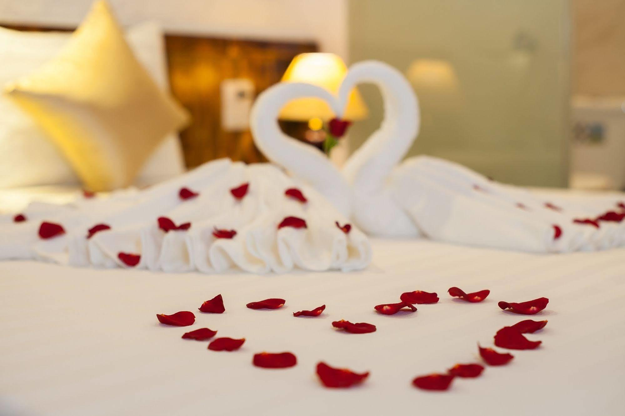 Luxury Backpakers Hotel