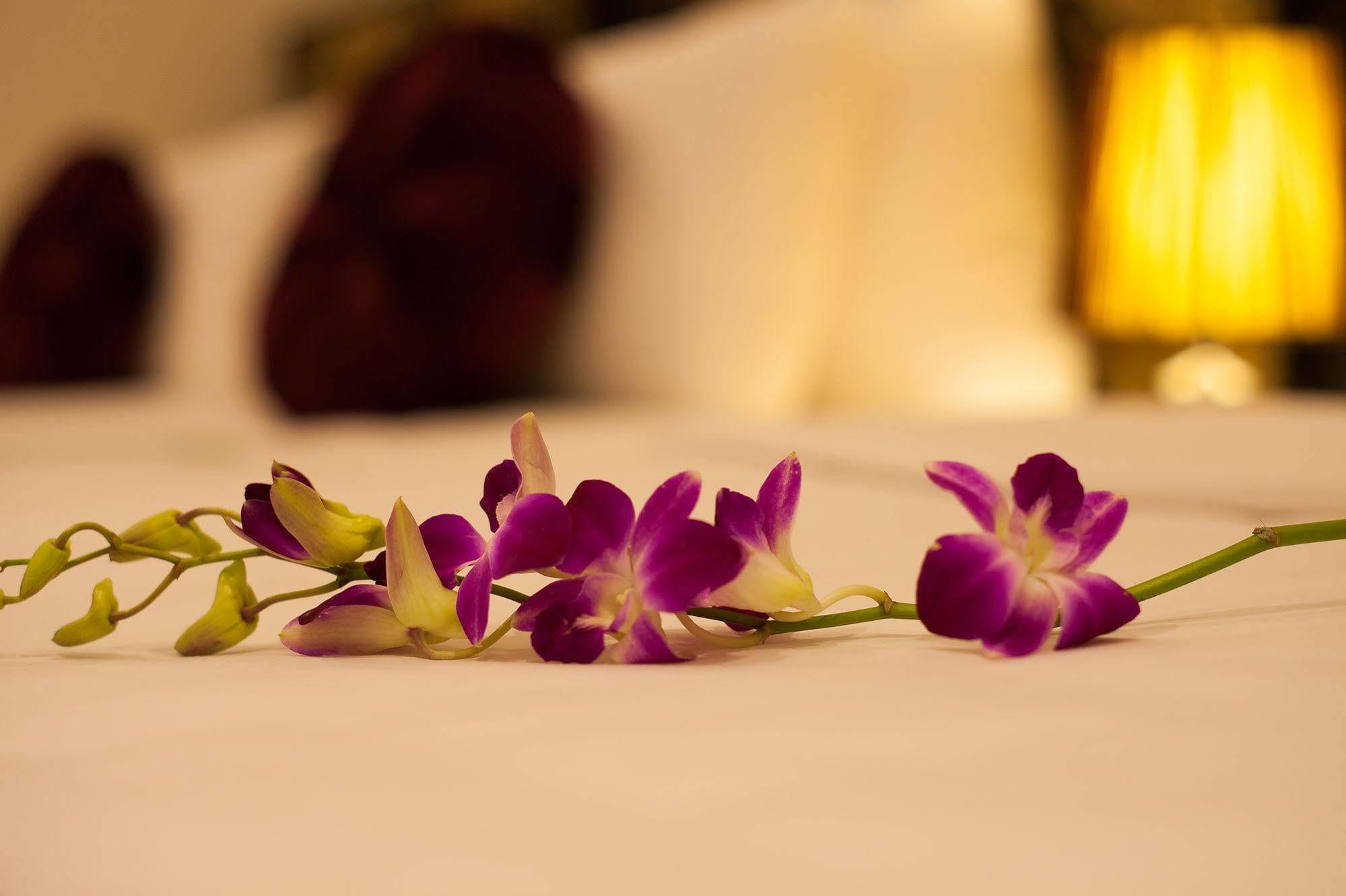 Hotel Serenity Diamond 3*