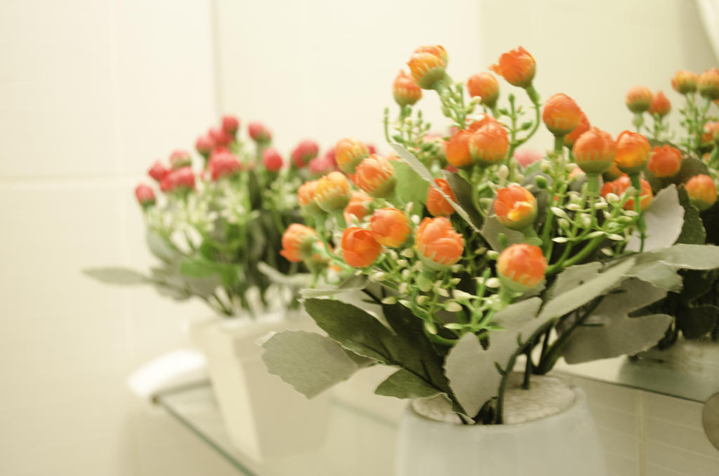 Blue Moon Hotel Hanoi