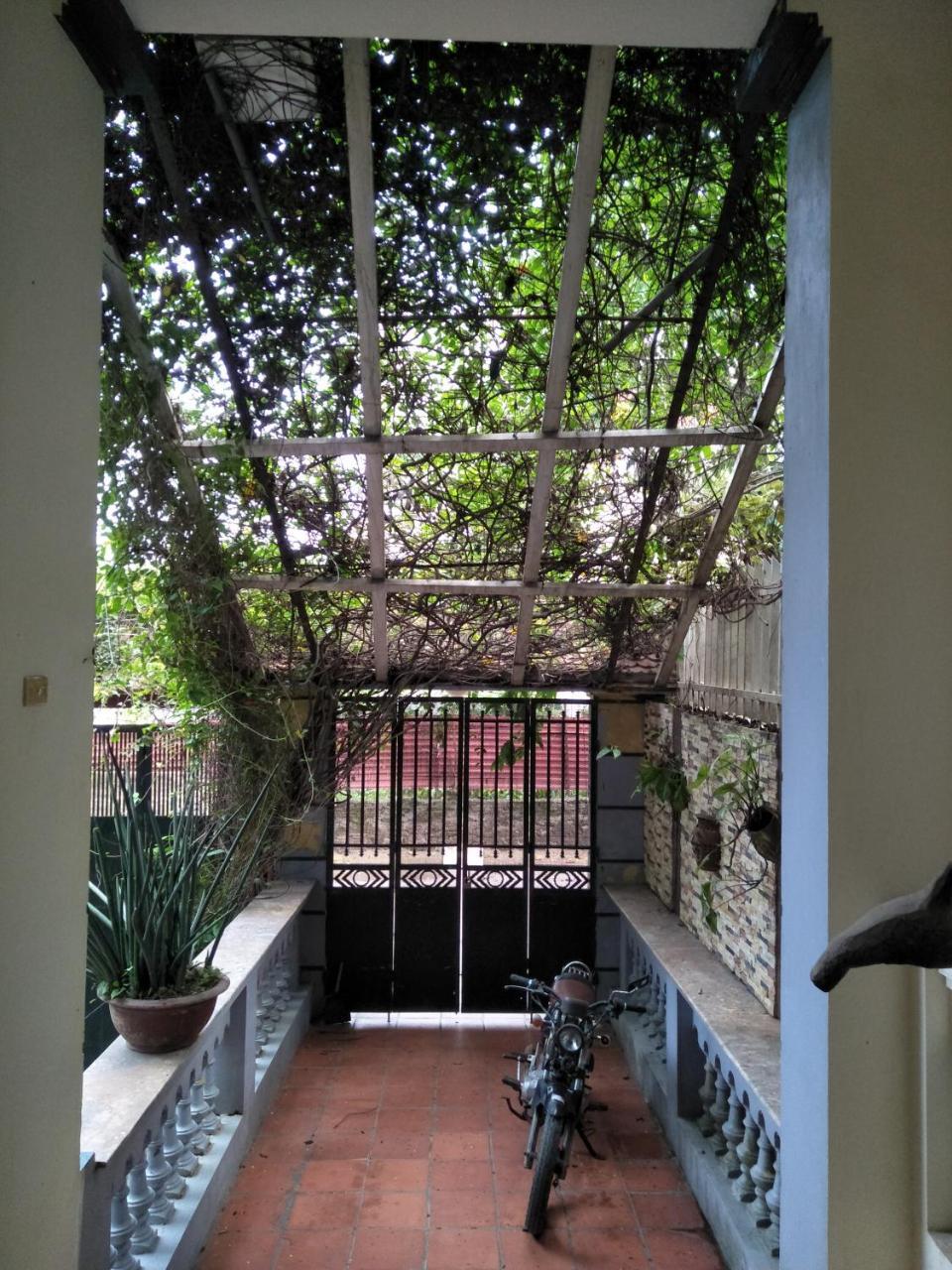 Green Homestay