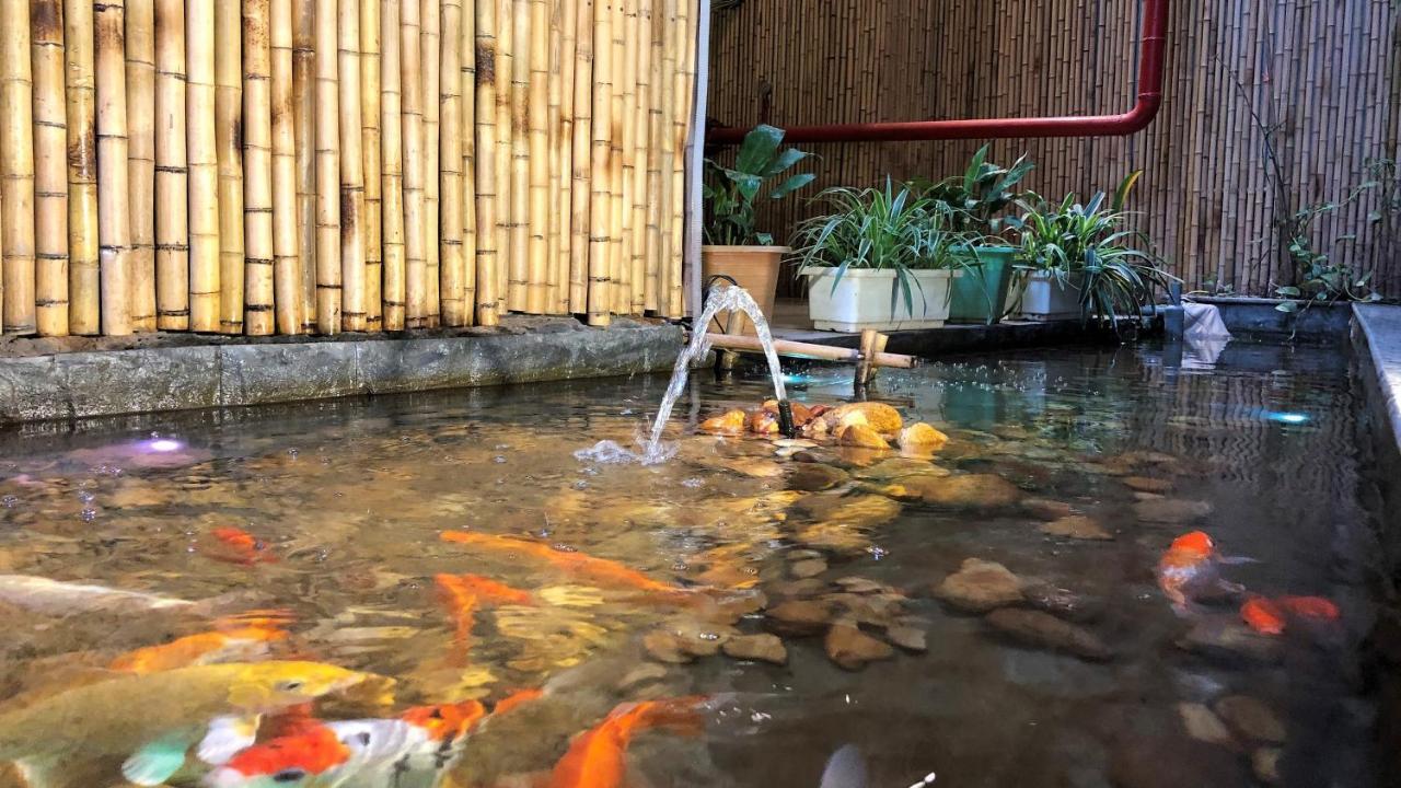 Khách sạn Khách Sạn&căn Hộ Palmo 2 3*