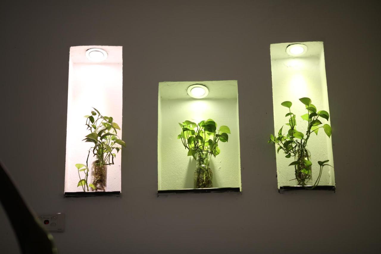 Minimalism Homestay *