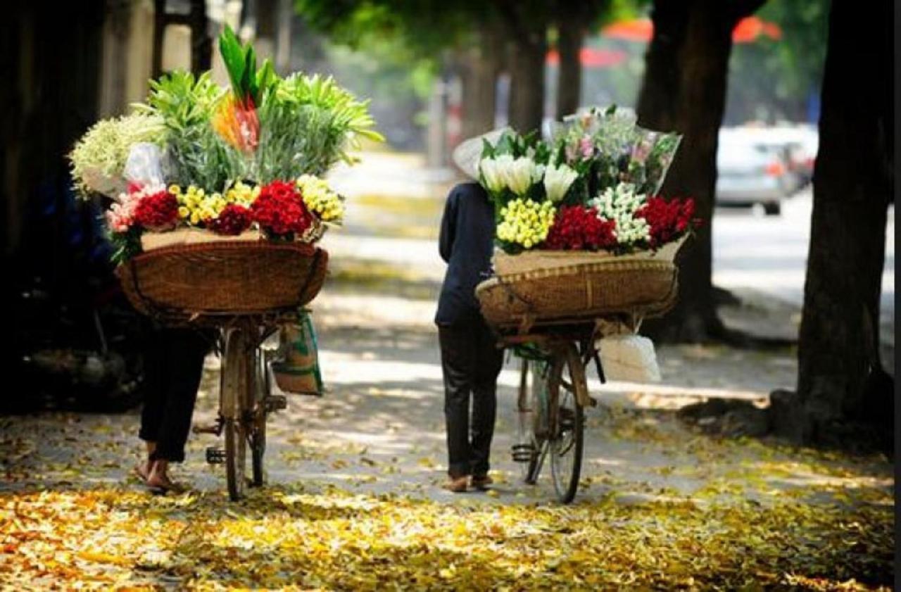 Mr Sun - Travel Hanoi