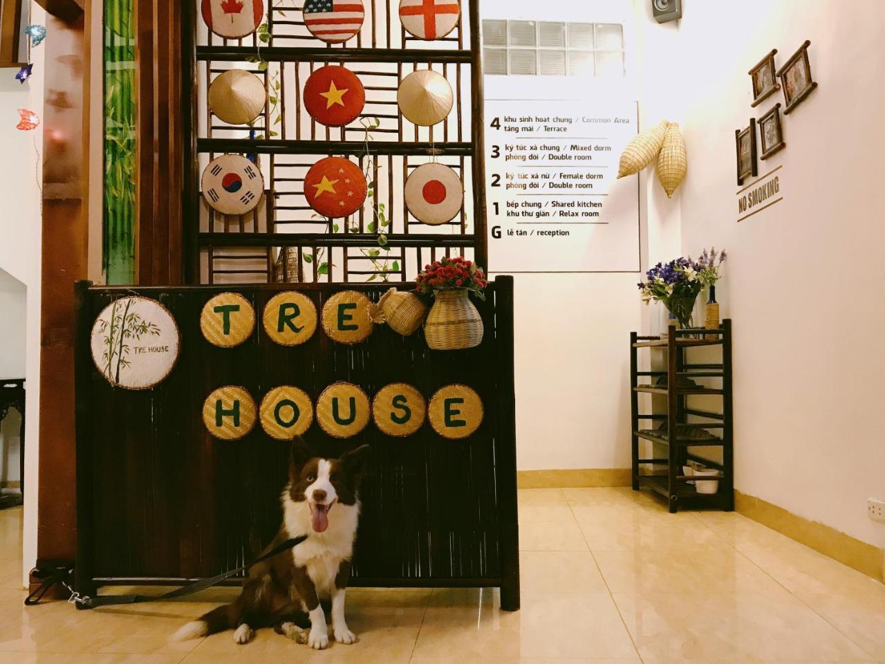 Hostel Tre House Homestay