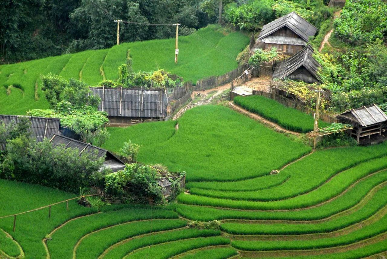 Ở trọ Nusmile's And Travel Hà Nội