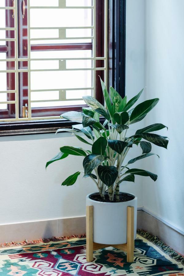 Homestay Anchie Homestay - City Central *
