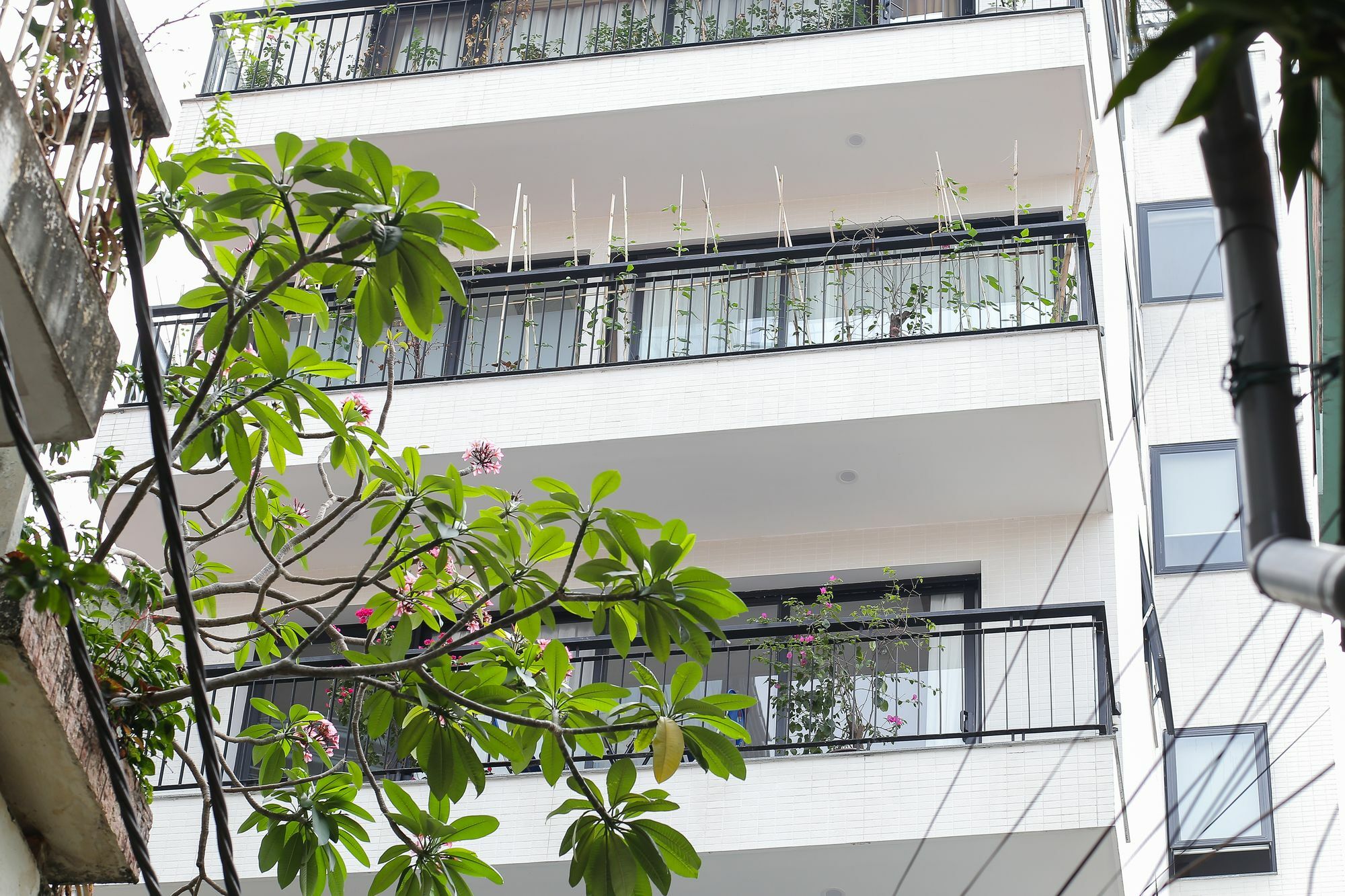 Apartment Quiet Hoang Quoc Viet & Hanoi