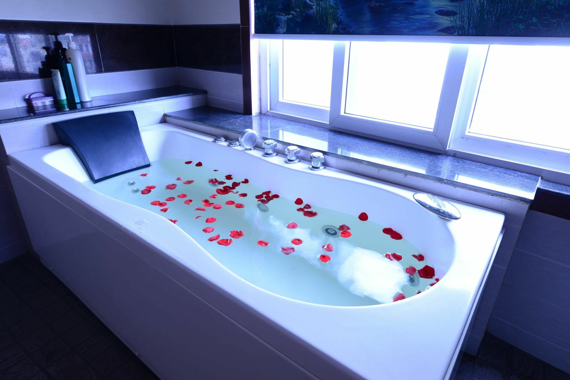Hotel Blue Luxury 3*
