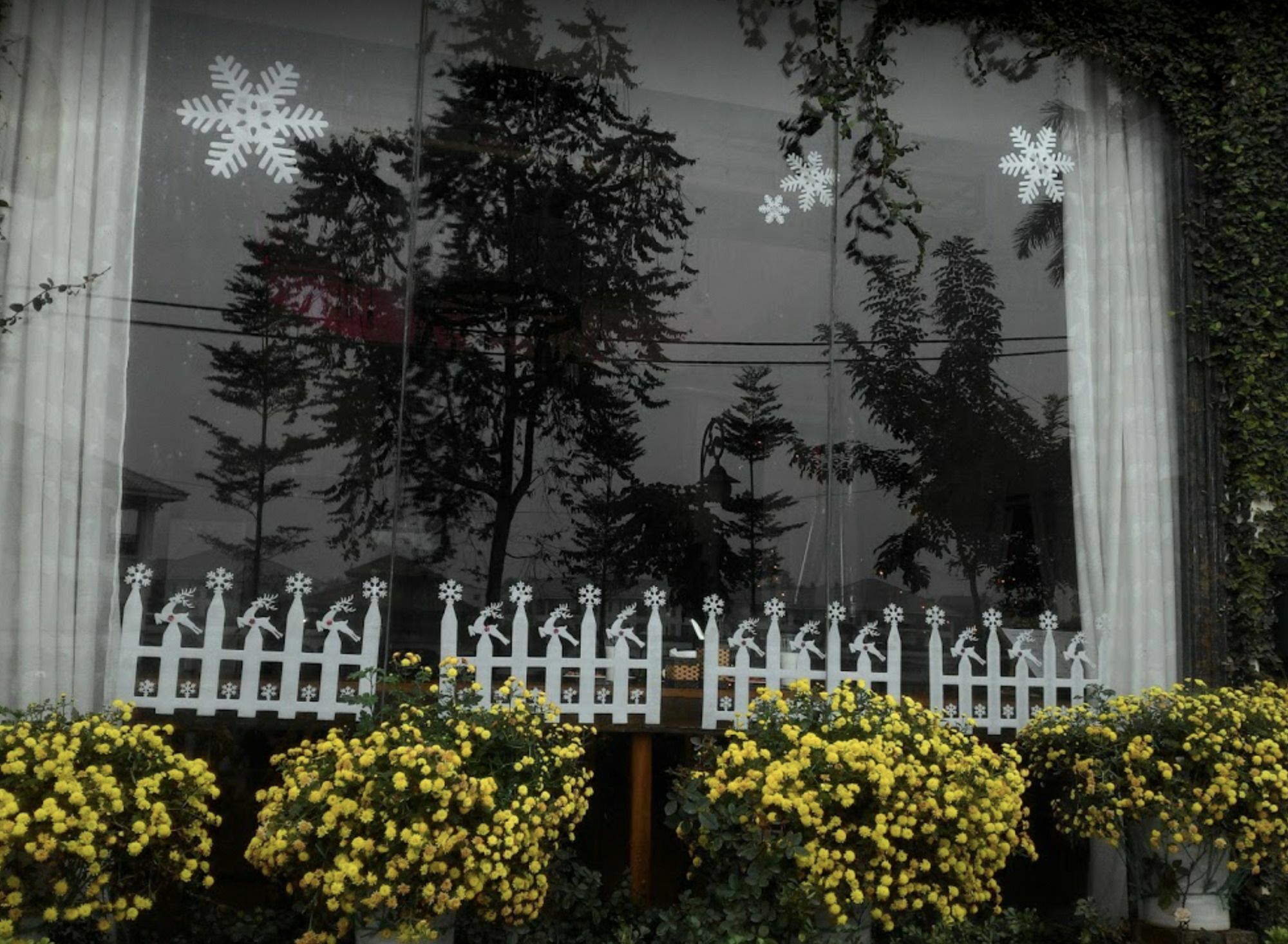 Today Apartment *