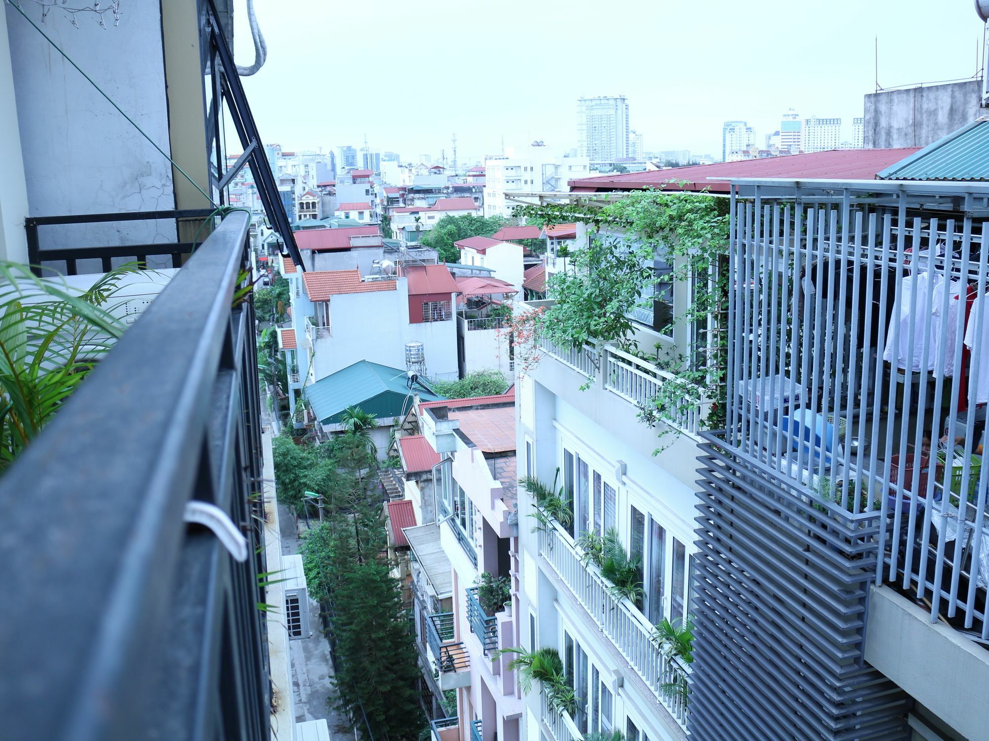Hotel Palmo & 1 3*
