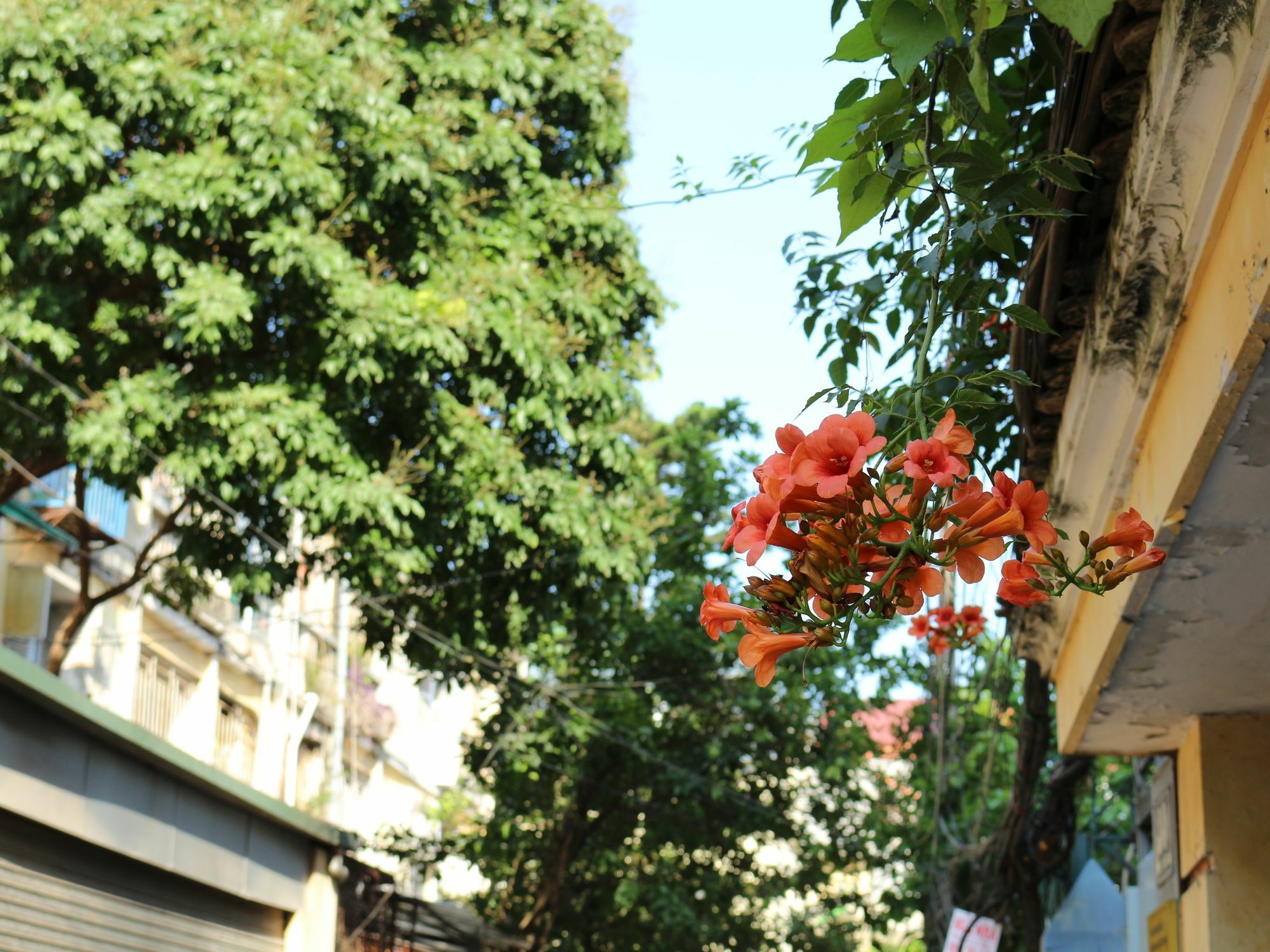Palmo & 1 Hotel